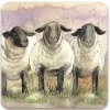 Alex Clark Coaster - Suffolks
