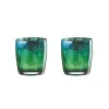 Artland Peacock 2 Piece Tumbler Glass Set
