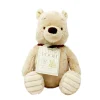 Winnie the Pooh Classic Pooh Hundred Acre Wood Soft Toy -