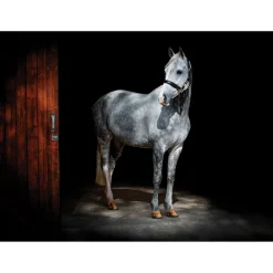 iStyle Rural Roots Rectangular Glass Worktop Saver - Horse