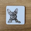Katherine Sheard Coaster - Stanley Frenchie