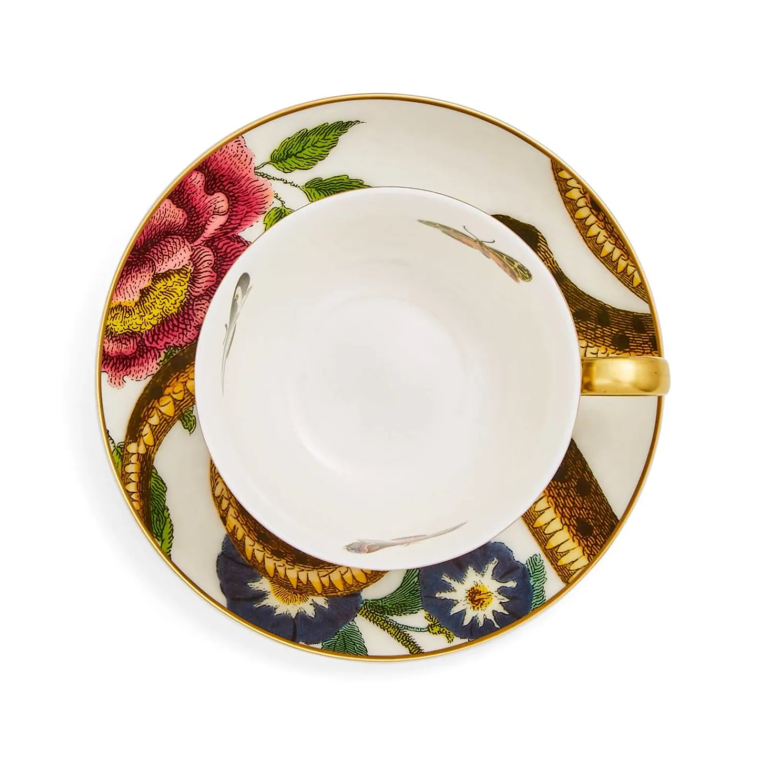 SPODE Creatures of Curiosity Coupe Tea Cup & Saucer - Leopard / Snake