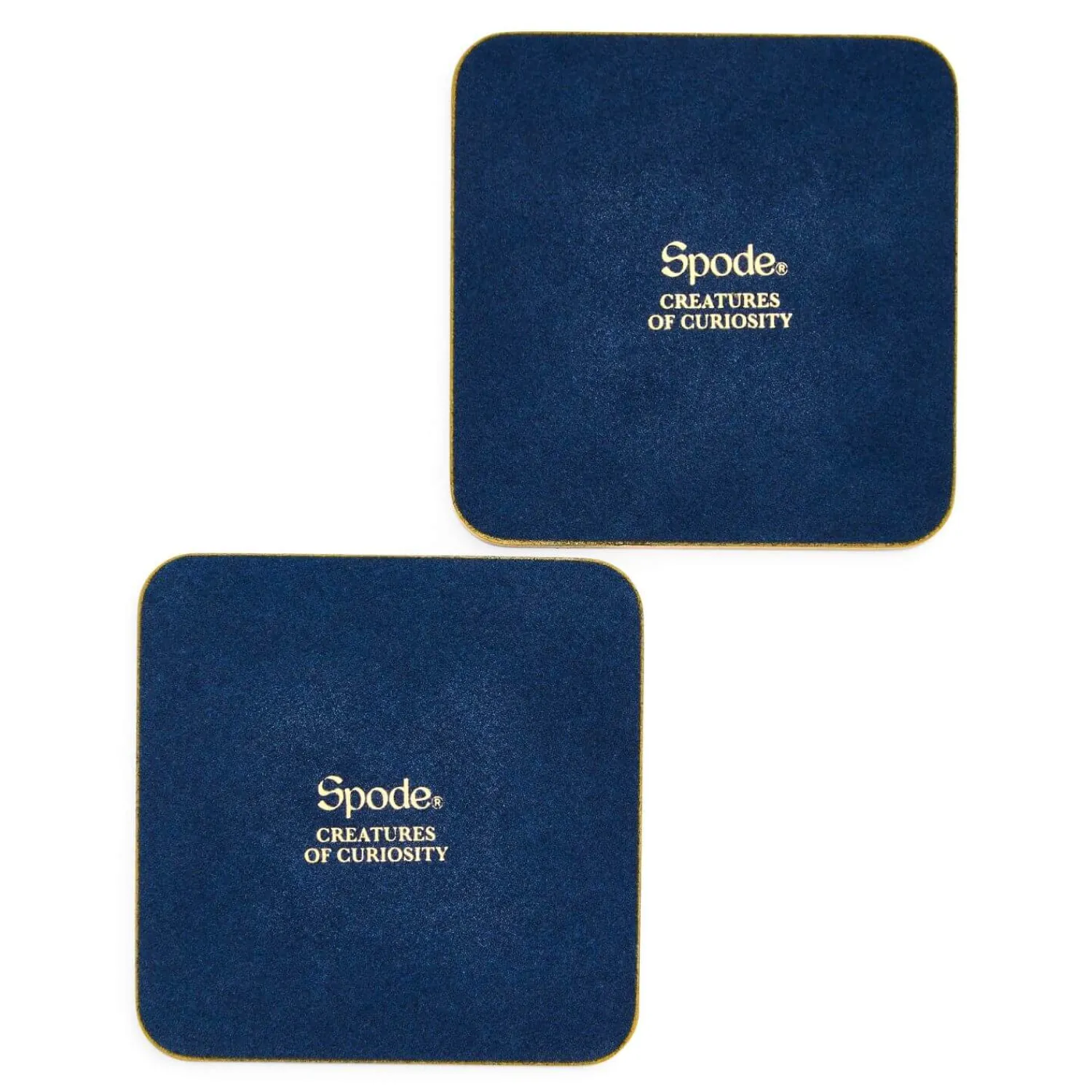 SPODE Creatures Of Curiosity 4 Piece Serveware Gift Set