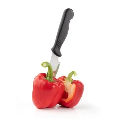 Taylor's Eye Witness Taylor's Eye Witness Sheffield Choice Cooks Knife - 14cm