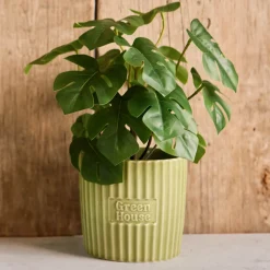 Tu0026G T&G Green House Large Plant Pot