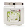 Wax Lyrical Colony Medium Scented Candle Jar - Jasmine & Oud