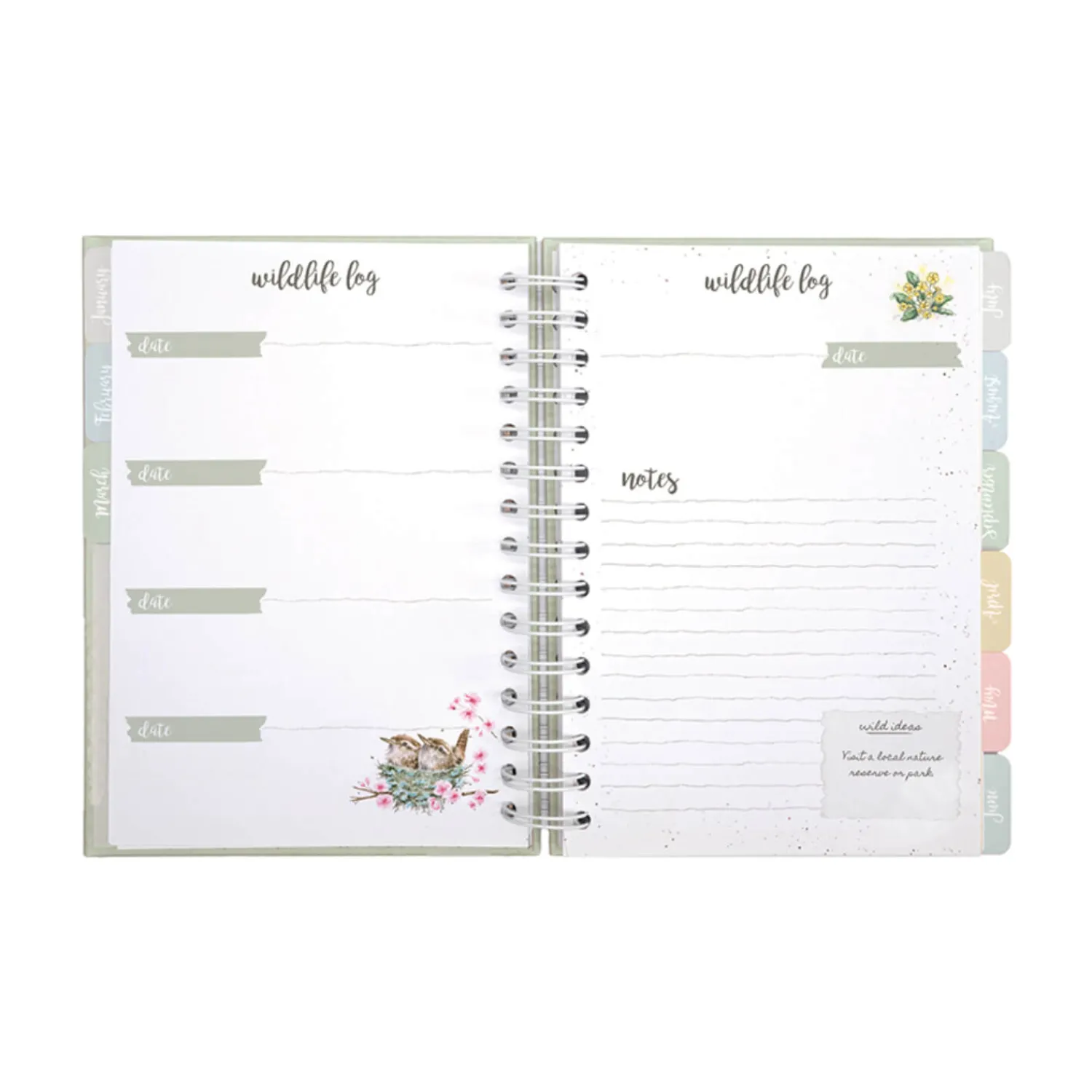 Wrendale Designs by Hannah Dale Wildlife Journal - Bright Eyed & Bushy Tailed