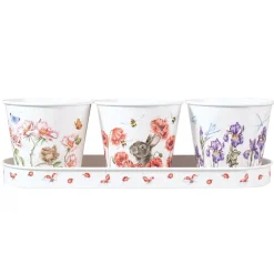 Wrendale Designs by Hannah Dale Set of 3 Herb Pots & Tray - Flowers