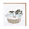 Wrendale Designs by Hannah Dale Card - Wash, Dry, Fold, Repeat