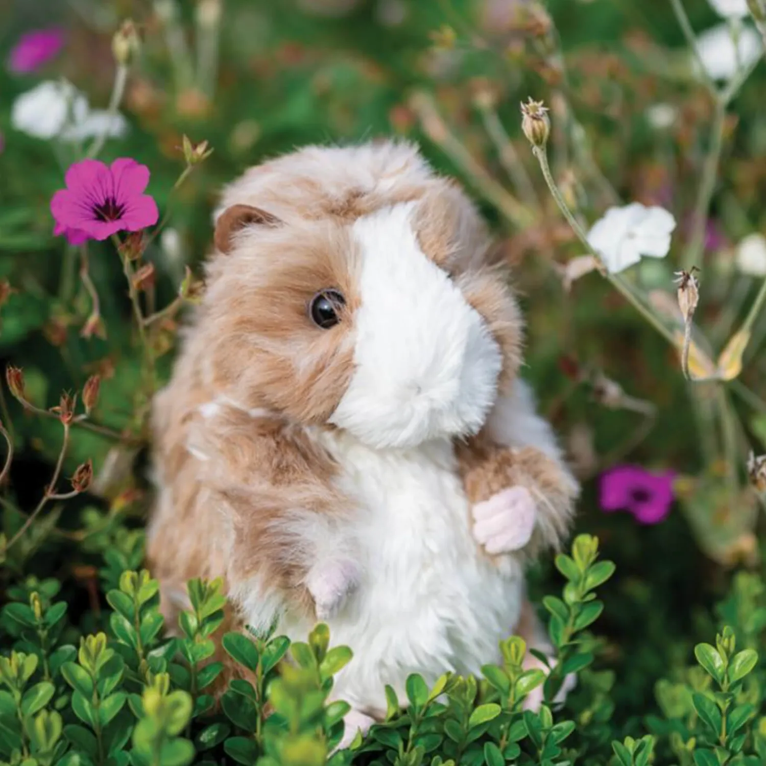 Wrendale Designs Junior Plush Toy - Daphne Guinea Pig