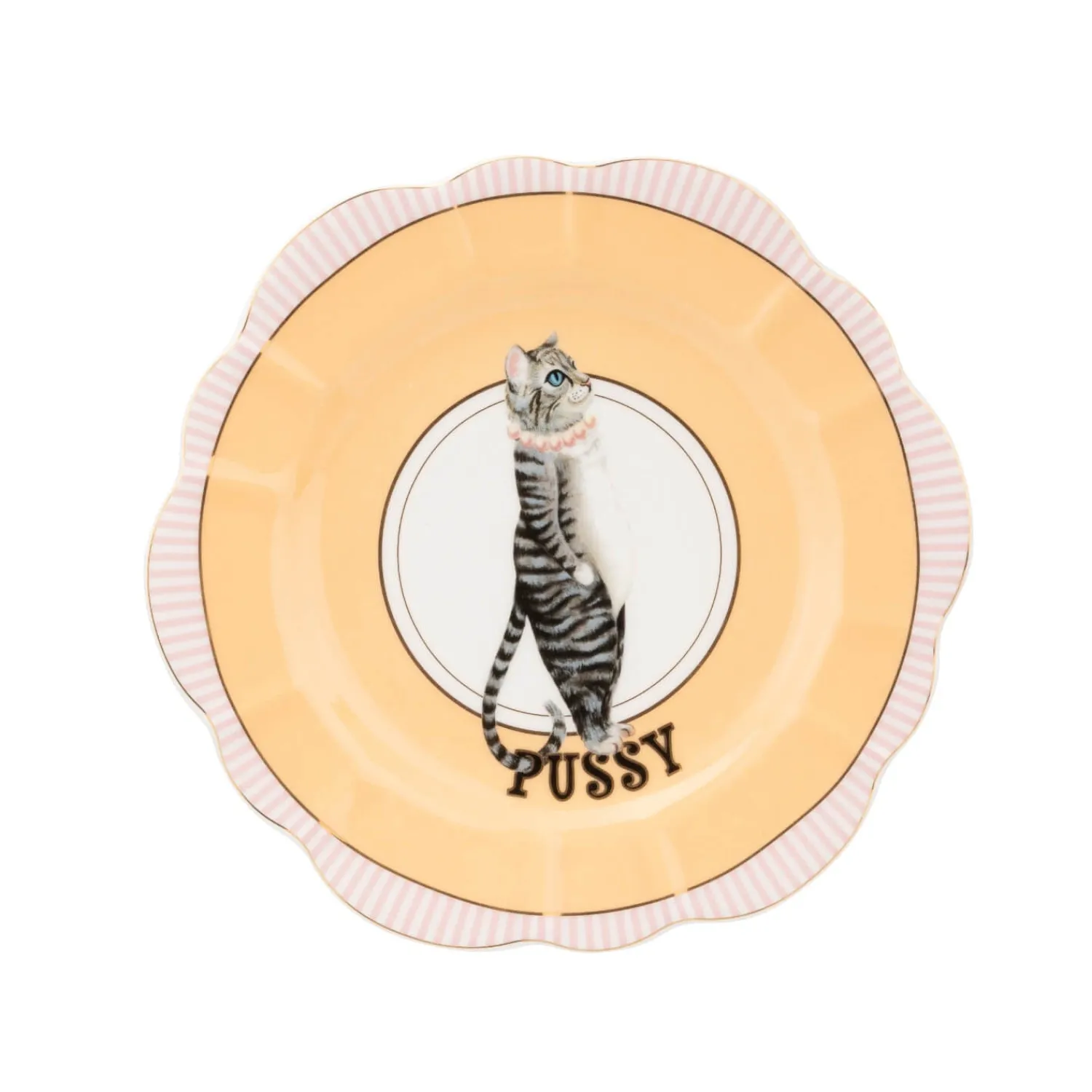 Yvonne Ellen 23cm Fine China Flower Plate - Pussy