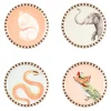 Yvonne Ellen Fine China 4-Piece Coaster Set - Animal